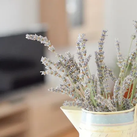 Апартаменты And Borka & Marko Мали-Лошинь