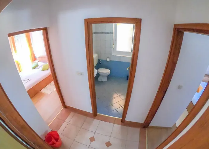 And Borka & Marko Daire *