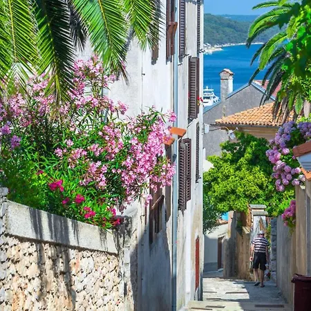 And Borka & Marko Daire *