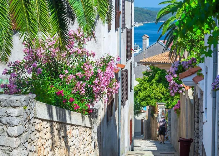 And Borka & Marko Apartamento *