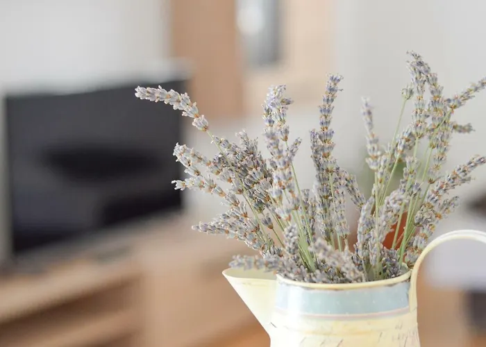 Apartamento And Borka & Marko Mali Lošinj